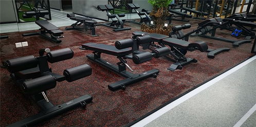 塑膠跑道廠常用指南 本信息長(zhǎng)期有效