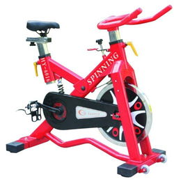 動(dòng)感單車(chē)萊美單車(chē)超靜音有氧腳踏運(yùn)動(dòng)單車(chē)商用家用健身 室內(nèi)健身器材長(zhǎng)期供貨圖片,動(dòng)感單車(chē)萊美單車(chē)超靜音有氧腳踏運(yùn)動(dòng)單車(chē)商用家用健身 室內(nèi)健身器材長(zhǎng)期供貨高清圖片