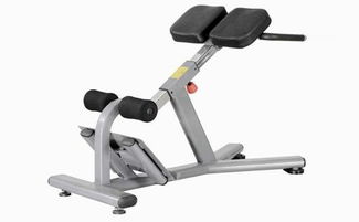 山東室內運動器材產業發展概覽 優質制造商與市場趨勢分析